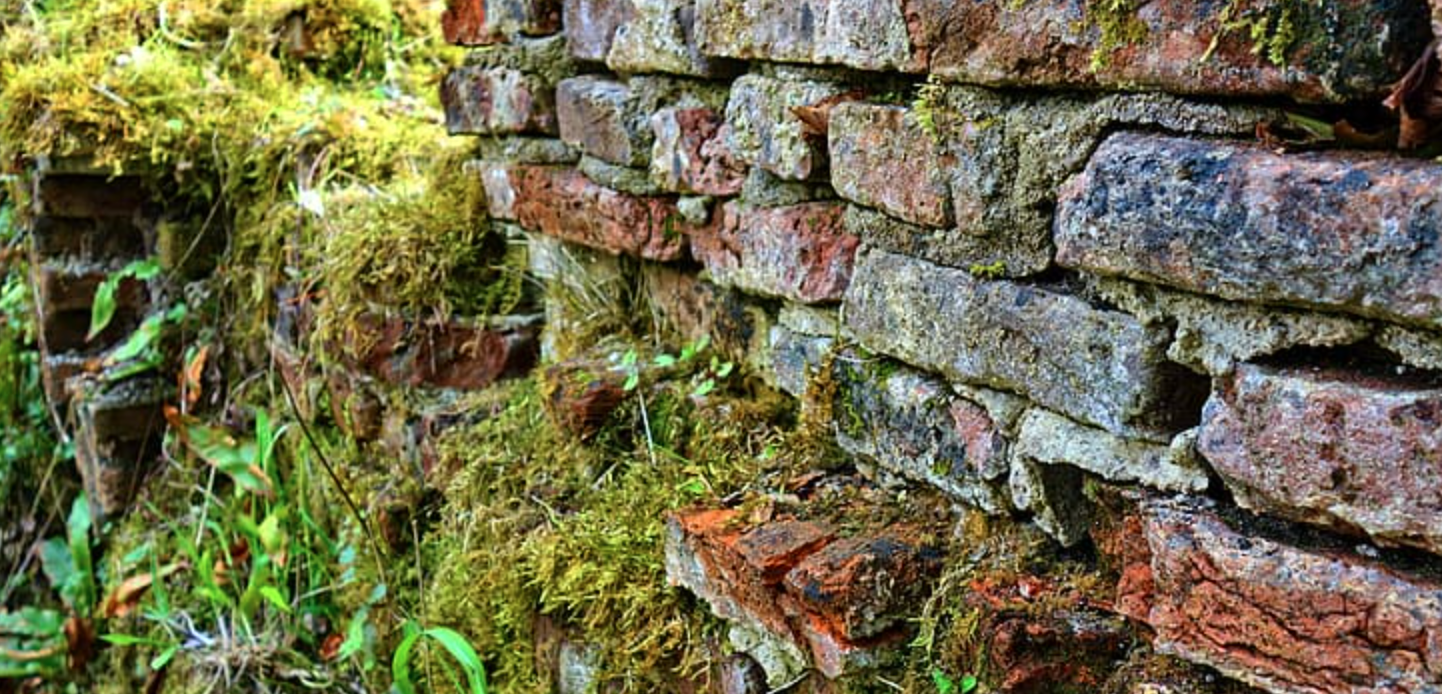 Black Women Experience Barriers