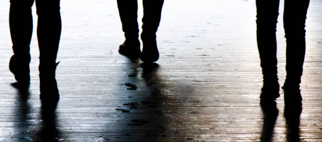 A Dream From The South